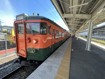 軽井沢駅から中軽井沢駅の乗車記録(乗りつぶし)写真