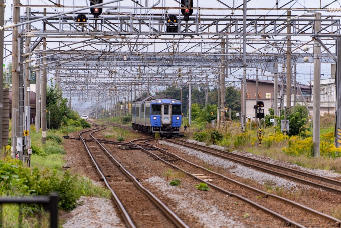 鉄道乗車記録の写真:列車・車両の様子(未乗車)(2)        「2023年3月17日に定期運用終了となったキハ183系。
」
