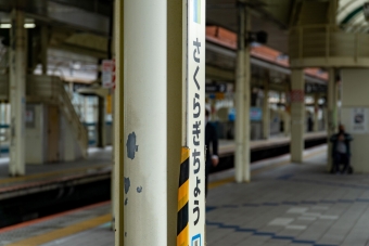 桜木町駅 写真:駅名看板