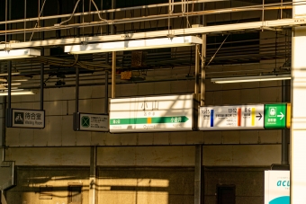 小山駅から小田原駅の乗車記録(乗りつぶし)写真