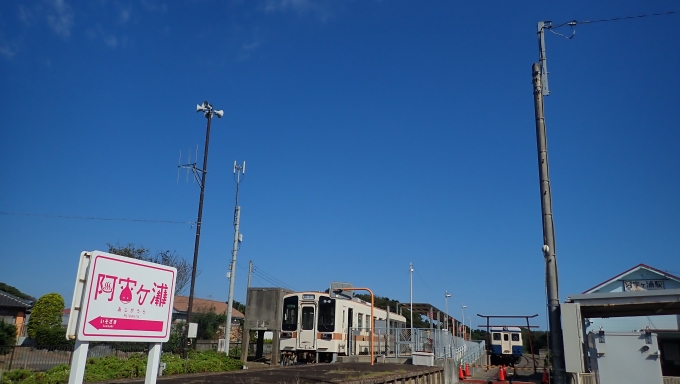 鉄道乗車記録の写真:乗車した列車(外観)(1)          「キハ11-6
ひたちなか海浜鉄道キハ11形」