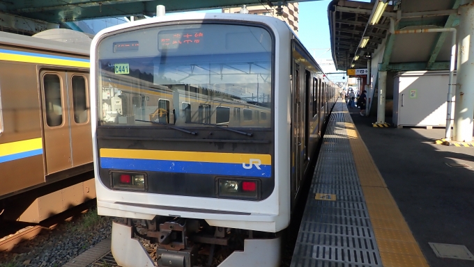 鉄道乗車記録の写真:乗車した列車(外観)(2)        「クハ209-2009
209系 C441編成」