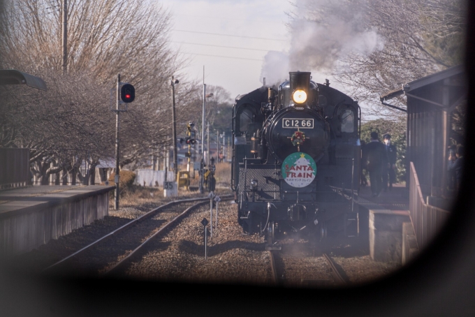鉄道乗車記録の写真:列車・車両の様子(未乗車)(3)        「SLもおかサンタトレイン
C12 66
C12形」
