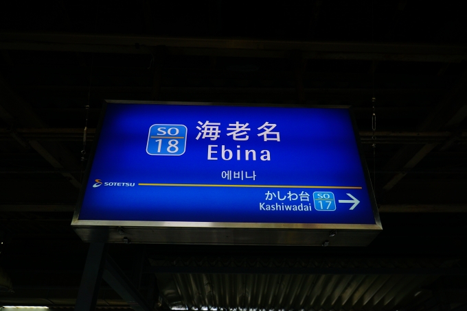 鉄道乗車記録の写真:駅名看板(1)        「ここから、横浜駅へ。」