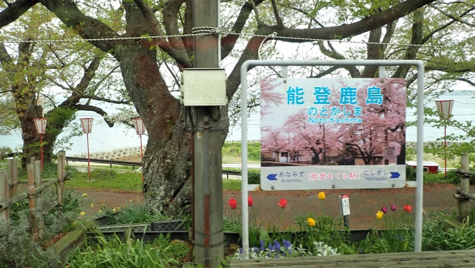 鉄道乗車記録の写真:駅名看板(12)        「例年なら、この時期桜が満開なのだが、今年は早咲きだったので
すでに葉桜状態。」