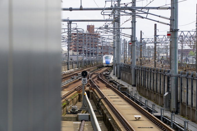鉄道乗車記録の写真:乗車した列車(外観)(3)        「乗車する列車が
福井方面から入線。」