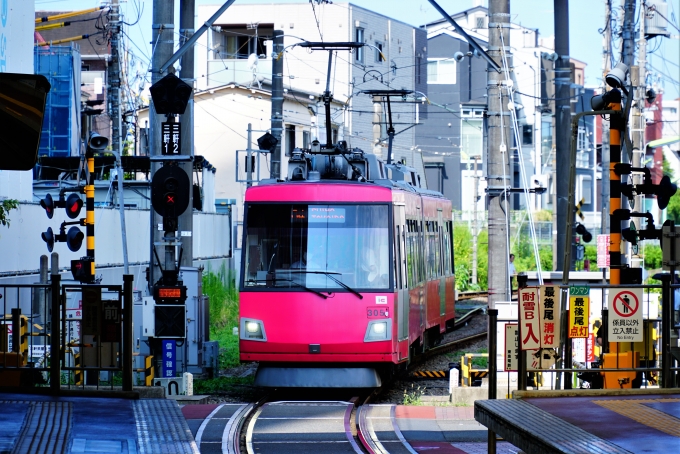 鉄道乗車記録の写真:乗車した列車(外観)(2)        「305-A
東急300系 305F編成」