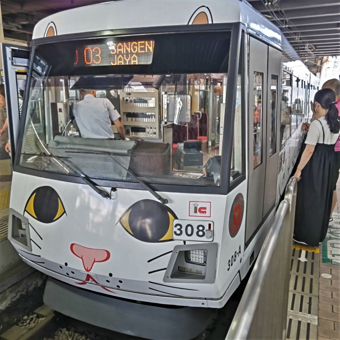 鉄道乗車記録の写真:乗車した列車(外観)(1)        「308-A
東急300系 308F編成」