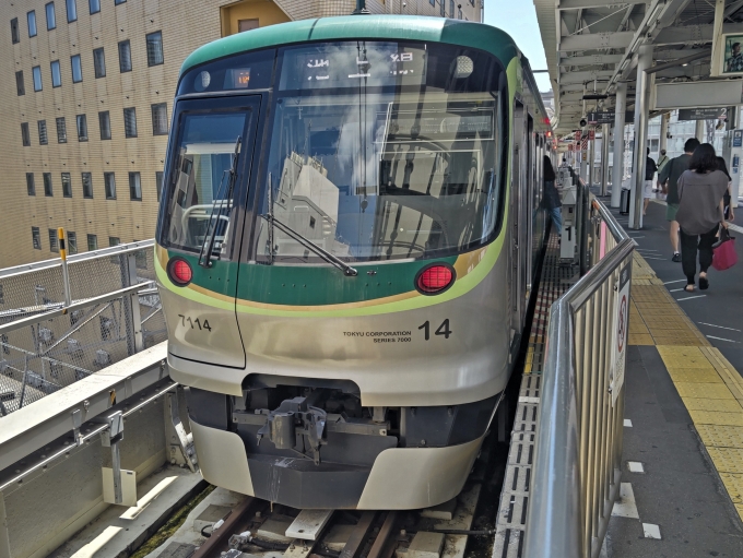 鉄道乗車記録の写真:乗車した列車(外観)(2)        「7114
東急7000系 7114F編成」