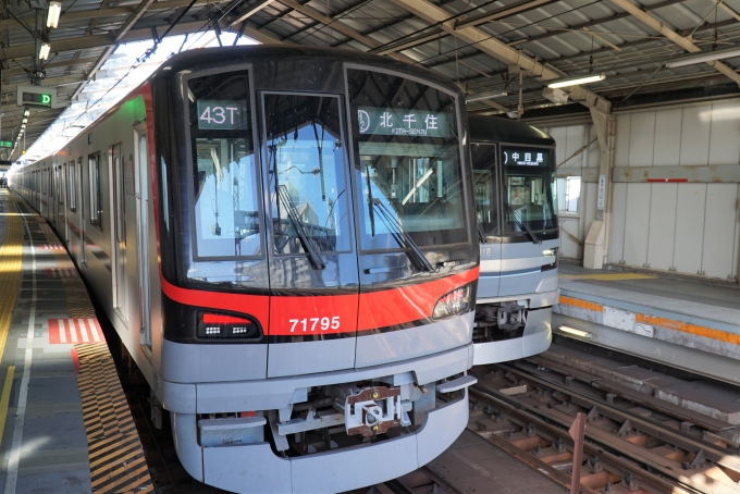 鉄道乗車記録の写真:乗車した列車(外観)(2)     「71795
東武70000系 71795F編成」