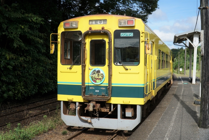 鉄道乗車記録の写真:乗車した列車(外観)(2)        「いすみ302
いすみ300・350・キハ20形」