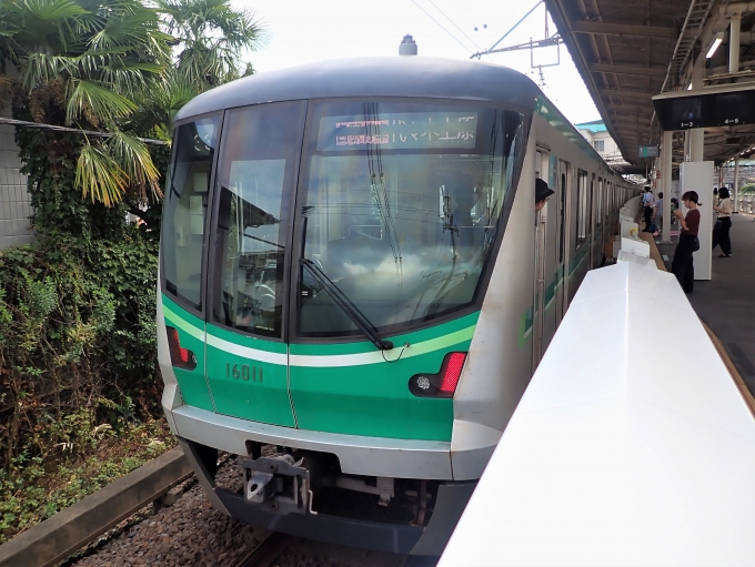 鉄道乗車記録の写真:乗車した列車(外観)(2)     「16011
東京メトロ16000系 16111F編成」