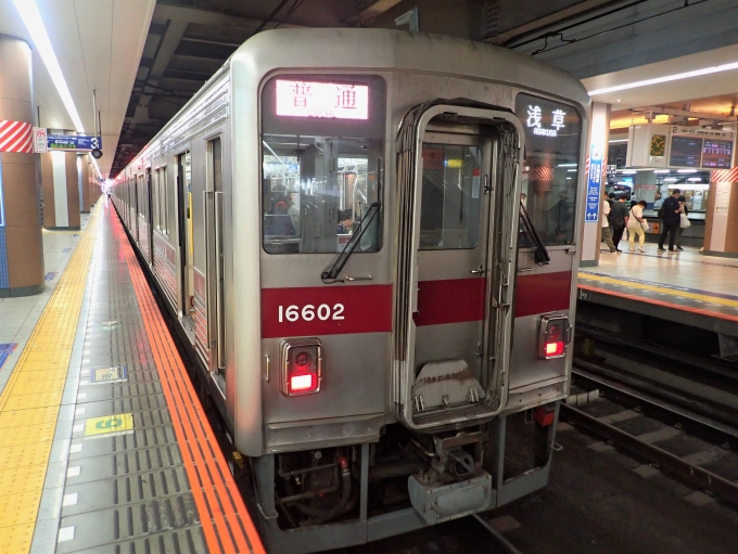 鉄道乗車記録の写真:乗車した列車(外観)(2)        「16602
東武10000系 11602F編成」
