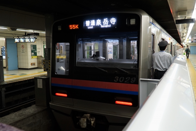 鉄道乗車記録の写真:乗車した列車(外観)(2)     「3029-8
京成3000形電車」