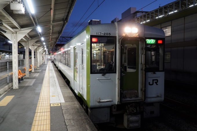 鉄道乗車記録の写真:乗車した列車(外観)(2)        「JR東日本 キハ112-205
キハ100・110系 205編成
」