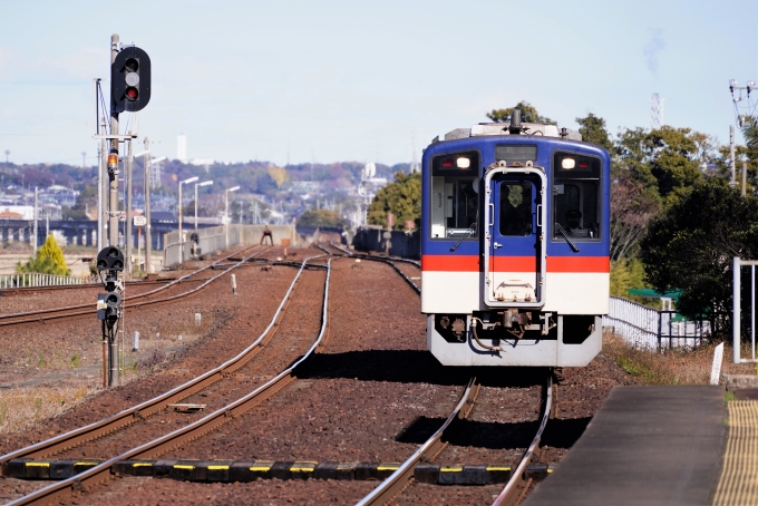 鉄道乗車記録の写真:乗車した列車(外観)(2)        「鹿島臨海鉄道 8004」