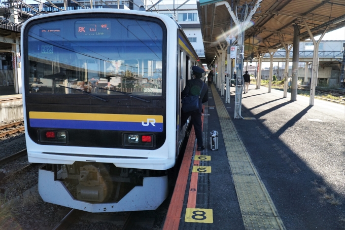 鉄道乗車記録の写真:乗車した列車(外観)(2)        「JR東日本 クハ209-2123
209系 C623編成」