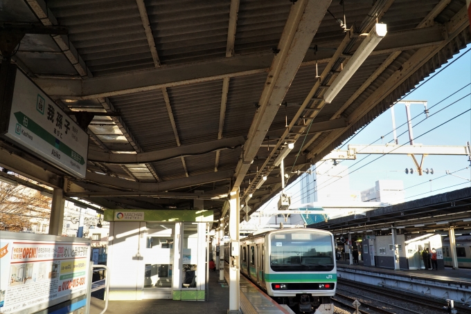 鉄道乗車記録の写真:乗車した列車(外観)(1)          「JR東日本ハE230-71
E231系 134編成」
