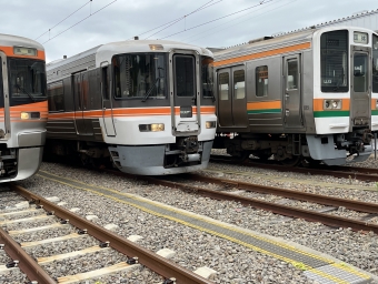 島田駅から島田駅の乗車記録(乗りつぶし)写真