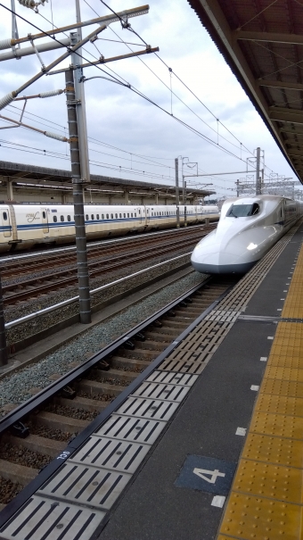 掛川駅から静岡駅の乗車記録(乗りつぶし)写真