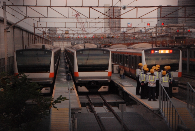 鉄道乗車記録の写真:旅の思い出(3)        「武蔵小金井駅から実家のある府中までは歩いて帰りました。道中に寄った 豊田車両センター で撮ったセンター内に並ぶ E233系 の写真。周りが暗かった影響でフォーカスが合わなかったです。」
