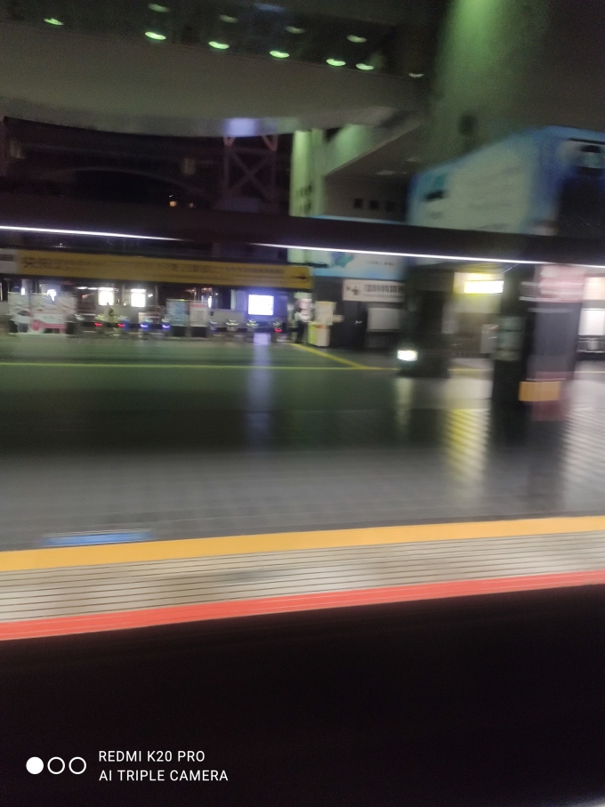 鉄道乗車記録の写真:車窓・風景(7)        「京都駅通過線にて撮影した京都駅。」
