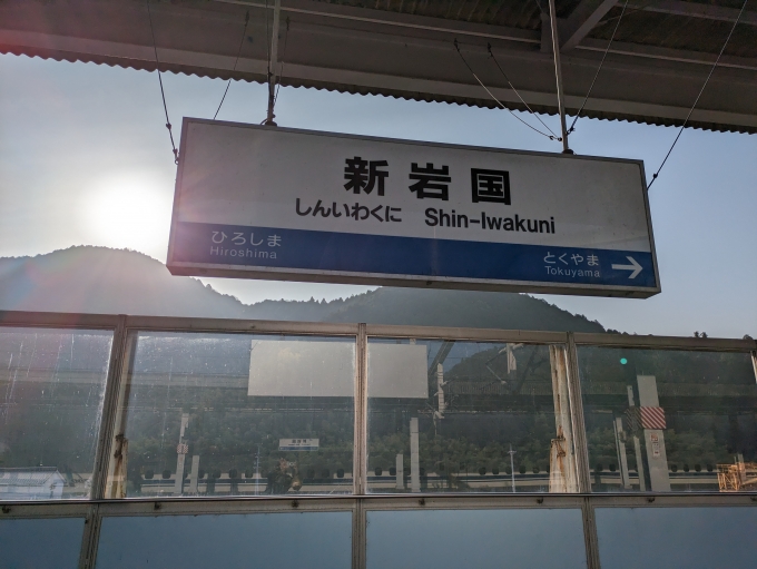 鉄道乗車記録の写真:駅名看板(1)        「新岩国駅3番ホームにて撮影した新岩国駅の駅名標。」