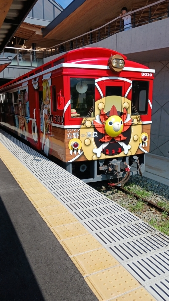 中松駅から立野駅の乗車記録(乗りつぶし)写真