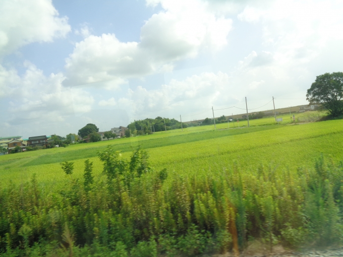 鉄道乗車記録の写真:車窓・風景(14)     