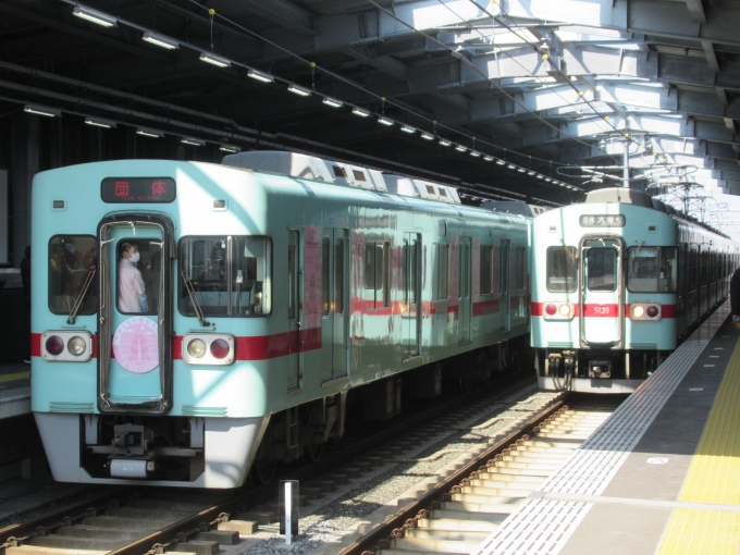 鉄道乗車記録の写真:列車・車両の様子(未乗車)(1)        「みんなの桜並木号と下り普通列車」