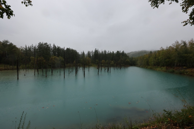 鉄道乗車記録の写真:旅の思い出(5)        「生憎の雨でしたが、池はブルー。雨水が流れ込むと、青く見えないそうです。」