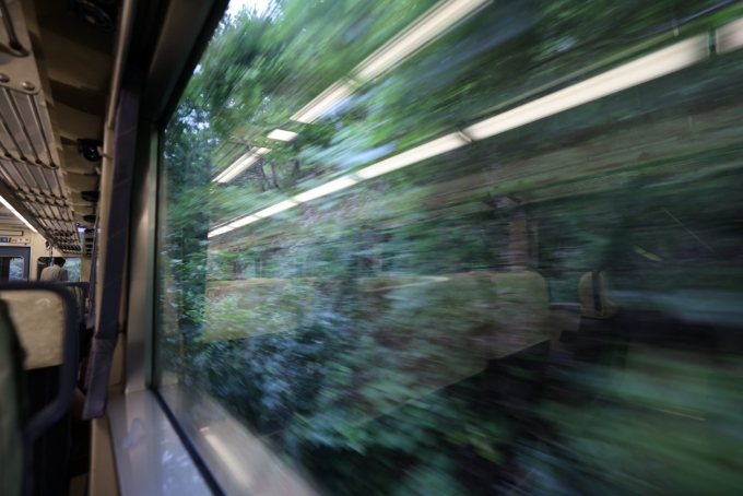 鉄道乗車記録の写真:車窓・風景(8)        「予讃線の旧線に入ると、スピードも落ちて、線路際の木の枝が車体にあたりガリガリという音がしばしば車内に響く。」