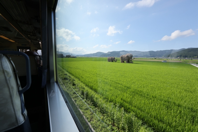 鉄道乗車記録の写真:車窓・風景(33)        「伊予石城では、わらマンモスの親子が田んぼの真ん中でお出迎え。」