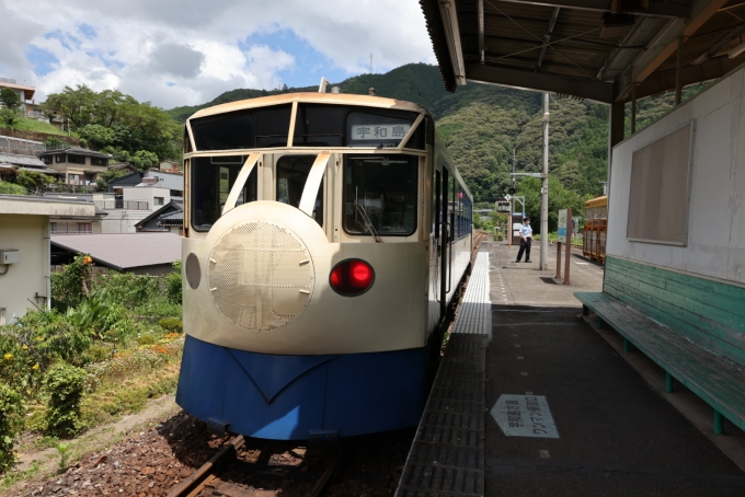鉄道乗車記録の写真:列車・車両の様子(未乗車)(23)     「なんちゃって新幹線？！鉄道ホビートレインが現れた。」