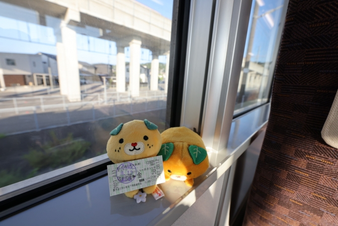 鉄道乗車記録の写真:車窓・風景(5)        「車窓には、北陸新幹線の高架がドンと鎮座する。」