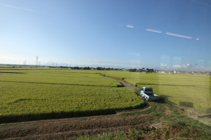 鉄道乗車記録の写真:車窓・風景(8)        「立山連峰からの豊かな水のおかげで、おいしいお米ができる砺波平野を、ひたすら走る。」