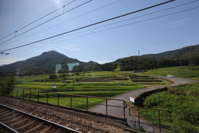 鉄道乗車記録の写真:車窓・風景(9)        「進行方向右側には、青々とした田んぼが。」