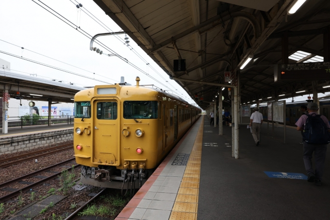 鉄道乗車記録の写真:乗車した列車(外観)(17)     「昭和から平成、令和と駆け抜けた111系、113系、115系。高度成長期には、サラリーマンや工場労働者を定員の2倍以上乗せて東海道線、山陽線、高崎線などなど、幹線の中距離電車として100kmで走っていた。特急列車の影に隠れて脚光を浴びることもなく、日本の幹線輸送を支えてきた車両もラストランが近づいてきた。」