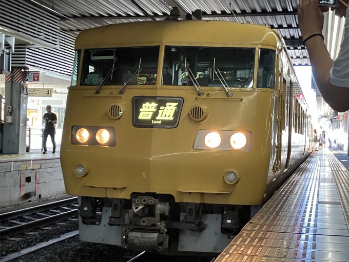 鉄道乗車記録の写真:乗車した列車(外観)(1)     「117系乗り納め」