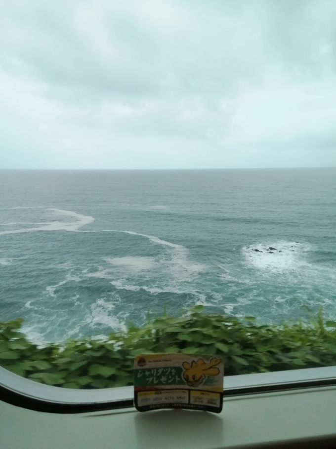 鉄道乗車記録の写真:車窓・風景(1)     「台風7号接近中、荒れてます。」