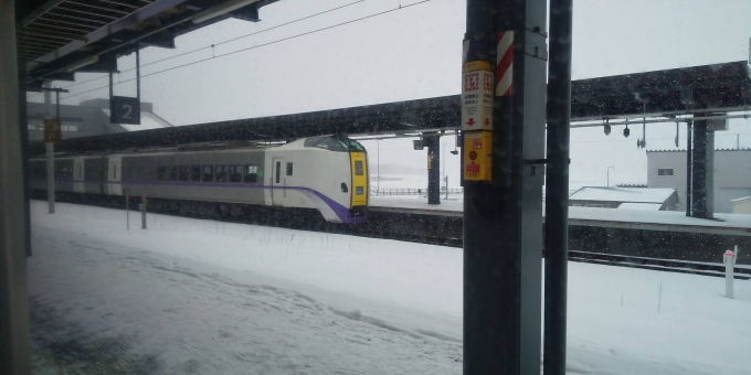 鉄道乗車記録の写真:列車・車両の様子(未乗車)(2)     「函館ライナー」