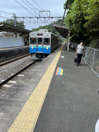 伊豆多賀駅から熱海駅の乗車記録(乗りつぶし)写真