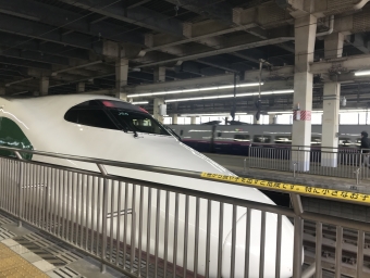 東戸塚駅から東戸塚駅の乗車記録(乗りつぶし)写真