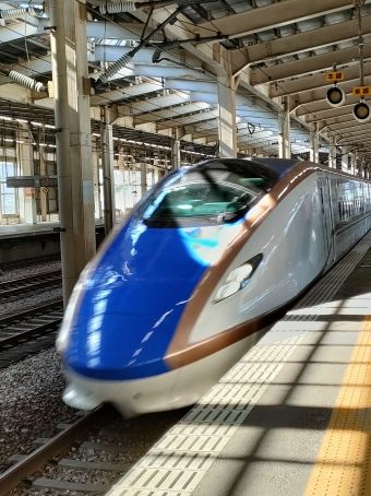 越後湯沢駅から東京駅の乗車記録(乗りつぶし)写真