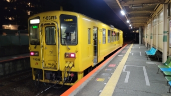 立野駅から武蔵塚駅の乗車記録(乗りつぶし)写真