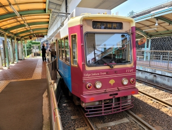 大塚駅前停留場から王子駅前停留場の乗車記録(乗りつぶし)写真