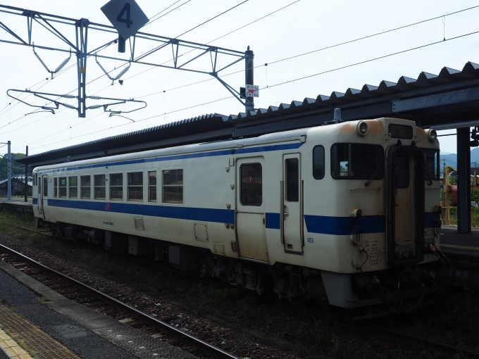 鉄道乗車記録の写真:乗車した列車(外観)(3)        「桂川から原田へ折り返す模様です。」