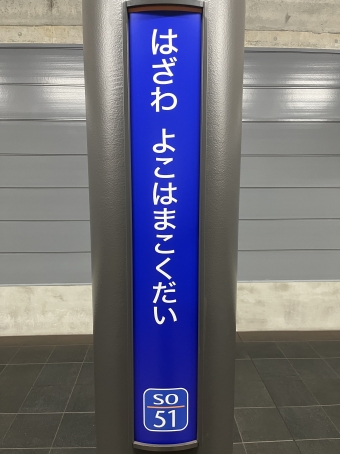 大崎駅から羽沢横浜国大駅の乗車記録(乗りつぶし)写真