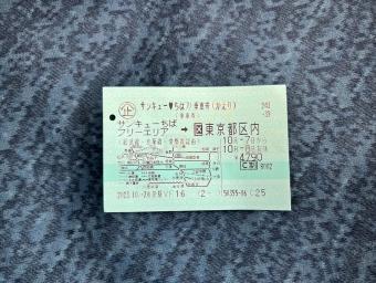 上総一ノ宮駅から大網駅の乗車記録(乗りつぶし)写真