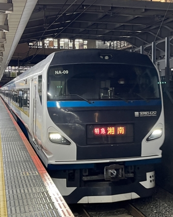 大崎駅から藤沢駅の乗車記録(乗りつぶし)写真